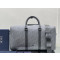 디올 링고 DIOR LINGOT 50 백 1ADDU120DOS