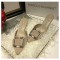 마놀로브라닉 여성슈즈 5cm