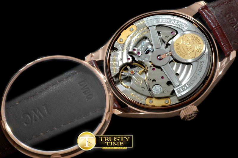 IWC Portugese 5007 RG/LE -IWC0253B