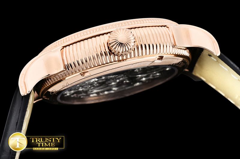 파텍필립 MoonPhase Day/Ngt PR RG/LE BlackAsia HW Tourbillon -PP0255A